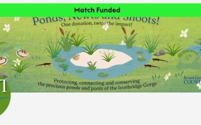 The Big Give Green Match Fund