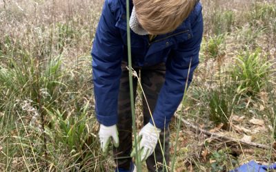 Tree Planting at Jiggers Bank – Saturday 9th March 2024 – All Welcome