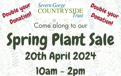 Spring Plant Fayre – Saturday 20th April 2024